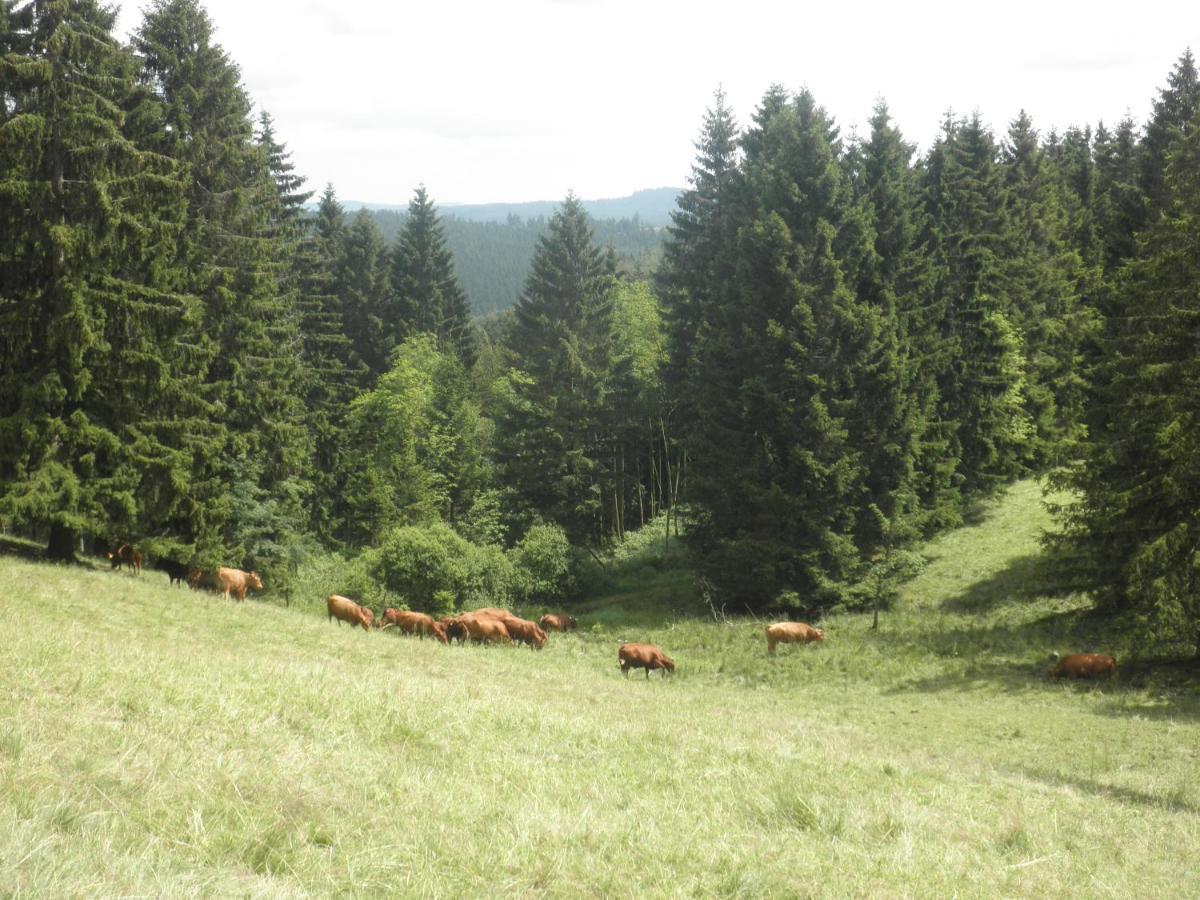 Gaestehaus Mea Vota Braunlage Luaran gambar